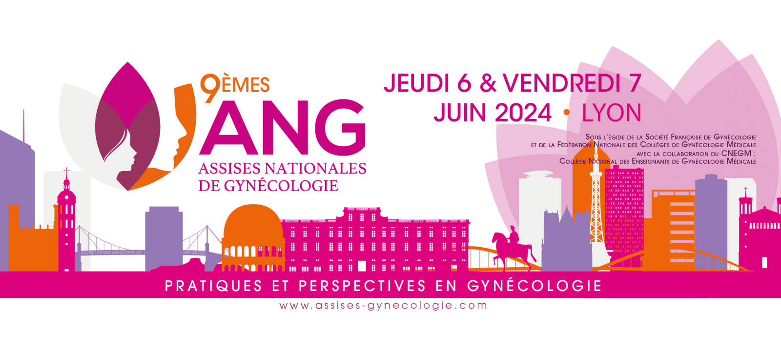 9èmes Assises Nationales de Gynécologie de Lyon